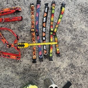 21 Vibrant Multicolor Dog Collars used